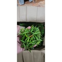 Ớt xiêm xanh 1 kg