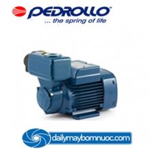 Máy bơm nước chân không Pedrollo PKSm 60