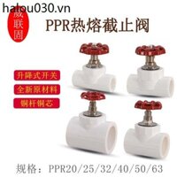 P PPR Van kiểm tra 20 25 32 40 50 63 Công tắc nâng nóng chảy Van giảm áp Phụ kiện ống nối
