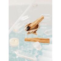 Palo Santo - Gỗ trắc xanh - Gỗ thánh Peru - Lá Sigil may mắn tài lộc - 2 Thanh 5-6gr