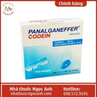 PanalganEffer Codein