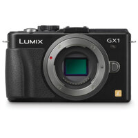 Panasonic Lumix DMC-GX1 with 14-42mm PZ