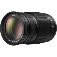Panasonic Lumix G Vario 100-300mm f/4.0-5.6 OIS