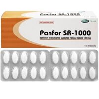 Panfor Sr 1000 Mega (H/100v)
