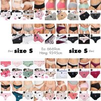 (Panty S) Quần lót cotton, quần su, quần cotton phối ren, quần ren, lọt khe, Victoria's Secret USA
