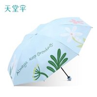 Paradise Umbrella Ultralight Giảm giá 50% Ô dù bỏ túi