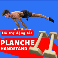 Parallettes dụng cụ hỗ trợ chống đẩy tập calisthenic