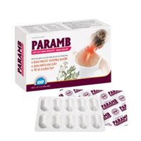 Paramb- Hỗ Trợ Điều Trị Đau Xương Khớp, Vai Gáy, Tê Bì Chân Tay