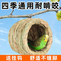 Parrot Nest Straw Summer Sleeping Cockatiel Tiger Skin Pearl Bird Hanging Rudin Chicken Grass Đồ chơi Supplies