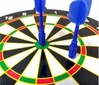 Parrot Training Dart Board