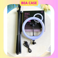 pass cây và đèn livestream size 26