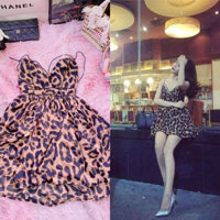 pass đầm da beo xòe