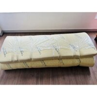 PASS NỆM CAO SU NON 1m6 x 2m x 10cm