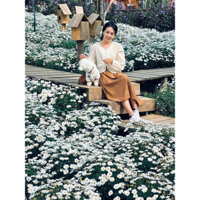 Pass set áo kiểu và chân váy  rời