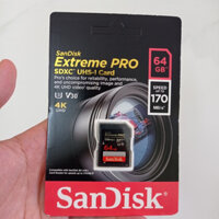 pass thẻ nhớ SD 64gb cho máy ảnh vintage digital camera
