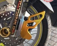 Past bảo vệ heo dầu Airblade 2016