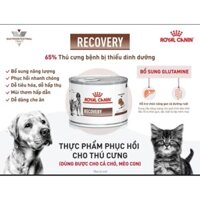 Pate cho chó mèo cao cấp Royal Canin Recovery - thức ăn ướt cho chó mèo giúp hồi phục sức khỏe - lon 195g