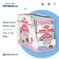 Pate mèo Royal Canin Kitten Jelly 85g - Hộp 12 gói