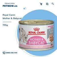 Pate mèo Royal Canin Mother & Babycat 195g