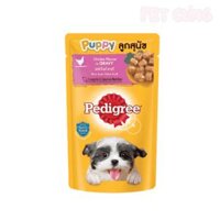 Pate Pedigree Puppy dành cho chó con vị gà - Pet Cưng