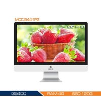 PC All in ONE (AIO) MCC5482P2 Home Office Computer CPUG5400/ Ram8G/ SSD240G/wifi/camera/ 22inch