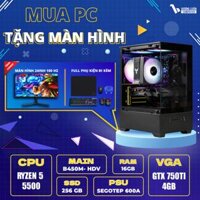 PC VLC_TM011 (RYZEN 5 5500 | 16GB | GTX 750TI 4GB | 256GB | MAIN B450)