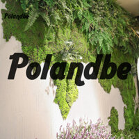 Pe Cỏ nhân tạo có thể gập lại Cỏ rêu nhân tạo tự nhiên đẹp cho phòng khách