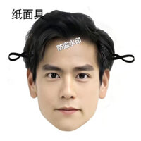 Peng Yuyan Hàng Hóa Dễ Thương Vui Nhộn Mặt nạ Sinh Nhật Tiệc Hàng Năm Đạo Cụ Cưới Hỗ Trợ Ngôi Sao Tùy Chỉnh