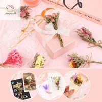 Pengtao09 30 Chiếc Mini Đừng Quên Tôi Bó Hoa Tím Tự Nhiên s Bó Hoa & Lá Hoa Oải Hương Khô Dập Nổi Dòng Mới