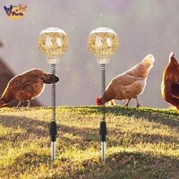 Perfk 2 Miếng Peck Đồ Chơi Ăn Hộp Đựng Làm Giàu Đồ Chơi Đa Năng Coop Đồ Chơi Tương Tác Cho Vẹt Gà Con Chim Vịt