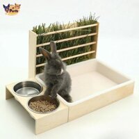 Perfk Cattiy Thỏ Gỗ Hay Ăn Dễ Dàng Làm Sạch Chuột Lang Hay Giá Đỡ Chuột Lang Tìm Thức Ăn Đồ Chơi Cho Chinchilla Chuột Lang