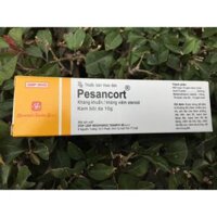 Pesancort 10g