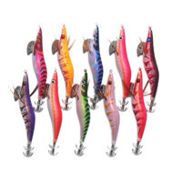 Pet 10 Chiếc Dạ Quang Nước Mặn Mực Jig Mực Mực Mồi Câu Cá Mồi Giải Quyết Có Móc