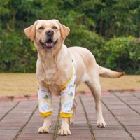 Pet Clothing Clothing Dog Elbow Pad Clothes Joint Leg Sleeves Chinese Style Pet Knee Pad Thin Pure Cotton Breathable ghSh