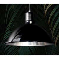 [Pet Mart] Chụp đèn bò sát chui sứ chịu nhiệt loại phun bóng cao cấp Nomoy pet petstore