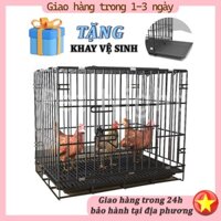 Pet Night Gấp chó lồng, Chuồng nuôi gà con siêu đẹp, chuồng gà lắp ráp, Chuồng chó mèo nhiều kích thước
