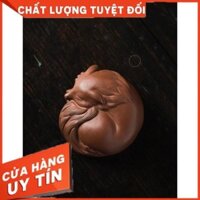 Pet tử sa Cáo Hồ Ly 9 Đuôi