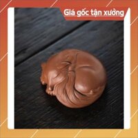 Pet tử sa Cáo Hồ Ly 9 Đuôi