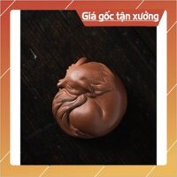 Pet tử sa Cáo Hồ Ly 9 Đuôi DUCDAVD TRA QUAN