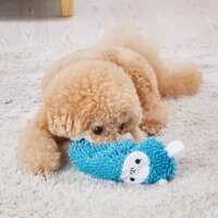 Petio Plush Crinkle Toy - BIG Collection for Dogs