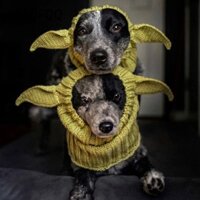Petofqq Làm dịu Earmuffs, Chống ồn Mũ ấm cho chó, Sáng tạo chống gió dệt kim đáng yêu Bịt tai mùa đông