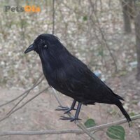 Petsola 6 Miếng Giả Quạ Đen Chim Ravens Đồ Trang Trí Trang Trí Halloween