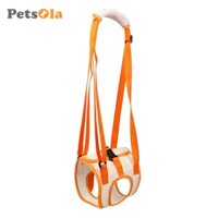 PETSOLA Đai đeo chân trước và sau PETSOLA hỗ trợ nâng cho chó cưng