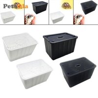 Petsola Rùa Bể Cá Rùa Môi Trường Sống Thông Gió Rùa Bể Cá Cho Rùa Thằn Lằn Hermit Cua Terrapin Chameleon