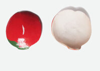 Phách gõ dừa BB21096