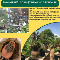 Phân bón cây cảnh cao cấp bonsai mai vàng, phân bón hữu cơ nhật bản, phân gà hữu cơ tan chậm kiseki