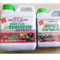 PHÂN BÓN GROW MORE ROOT PLEX SEAWEED EXTRACT CAN 1 LÍT Hấp thụ các chất dinh dưỡng có trong đất qua bộ lá và bộ rễ