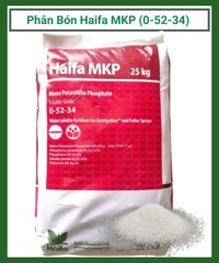 Phân bón Haifa MKP 0-52-34 – Israel (Bao 25kg)
