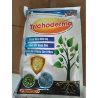 Phân bón hữu cơ Trichoderma phân huỷ rơm rạ xốp đất xanh cây