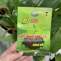 Phân bón kích rễ Sông Gianh gói 50g – T206